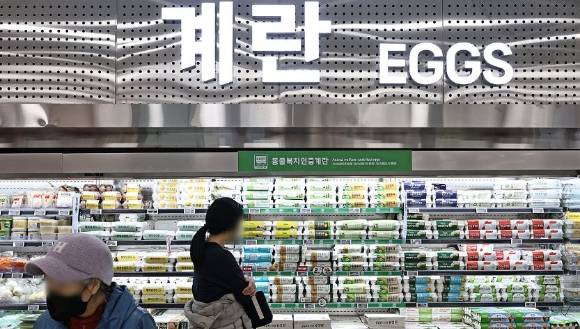 서울 시내의 한 마트에 계란이 진열돼 있다. [사진=연합뉴스]