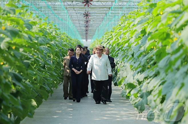 (평양 노동신문=뉴스1) = 김정은 북한 노동당 총비서가 지난달 31일 신의주온실종합농장을 현지지도하는 모습. [국내에서만 사용가능. 재배포 금지. DB 금지. For Use Only in the Republic of Korea. Redistribution Prohibited] rodongphoto@news1.kr