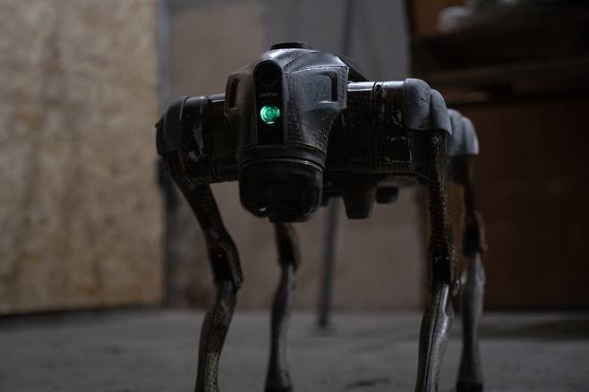 2025년 1월 25일 우크라이나 하르키우 모처에서 정찰 임무에 사용되는 개 모양의 지상 드론(ground drone). [EPA=연합뉴스 자료사진. 재판매 및 DB 금지]