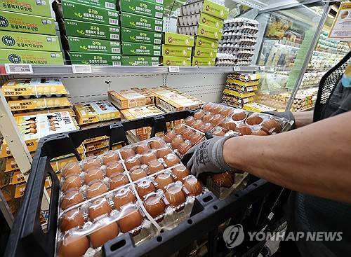 대형마트 계란 코너 [연합뉴스 자료사진]