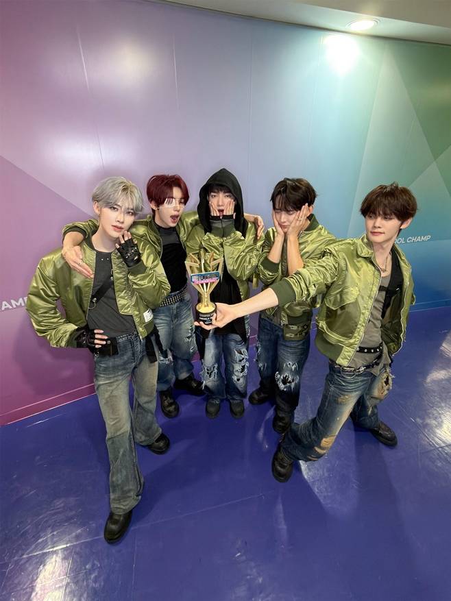 티브이데일리 포토
