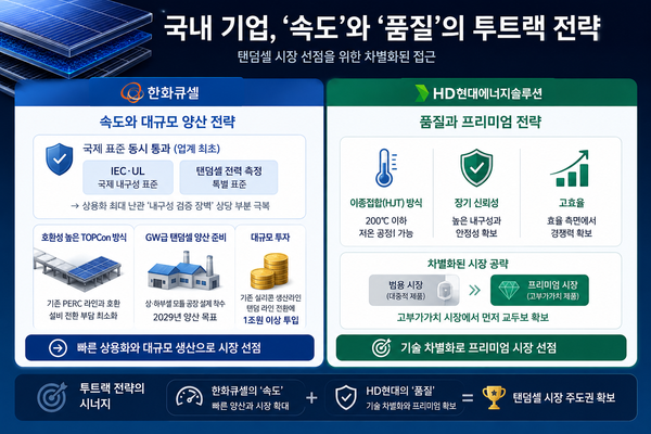 한화큐셀과 HD현대에너지솔루션의 탠덤셀 전략 인포그래픽 /챗GPT 생성 이미지