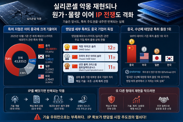 실리콘셀 시대에 기술 개발은 했지만 원가·물량에 밀렸던 패턴이 이번에는 IP 장벽이라는 또 다른 형태로 재현될 수 있다는 우려가 나온다. /챗GPT 생성이미지