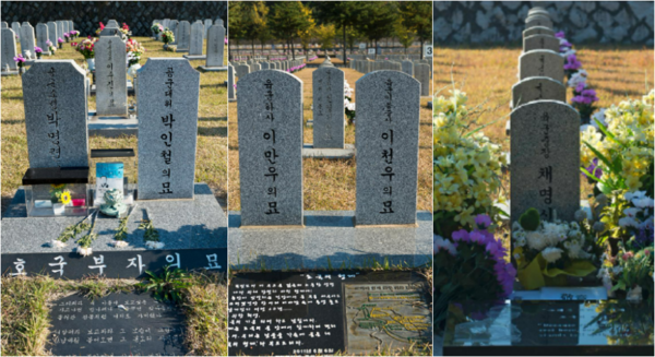 국립서울현충원에는 애틋한 사연을 지닌 무덤이 많다. 1984년과 2007년 순직한 전투기 조종사 부자(왼쪽), 1951년 4월과 8월에 전사했다가 2011년 60년 만에 함께 묻힌 형제(가운데), 부하들 곁에 묻어 달라는 유언에 따라 2013년 장군 묘역 대신 일반병사 묘역에 묻힌 채명신 전 파월한국군 사령관. (국가보훈부)