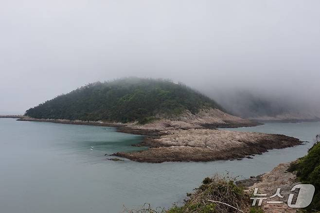 한반도 지형을 닮은 목섬의 갯바위.  2026.6.5. 뉴스1 ⓒ News1 조영석 기자