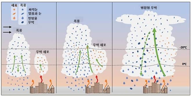 ▲도시 인근에서 발생하는 병합 우박 폭풍의 진화에 대한 가상 개념 모델. 도시 인근에서 강수 폭풍이 도시 지역에 접근하면, 인위적인 영향으로 인한 따뜻한 환경이 도시 주변에서 더 많은 대류 활동을 유발한다. 이 대류 세포가 기존 대류 폭풍과 병합되면 상승 기류가 급격히 강화되고 병합된 우박 폭풍이 규모를 키워 성장한다. 이 병합 우박 폭풍은 일반적인 우박 폭풍보다 더 많은 우박을 발생시켜 도시 지역의 우박 위험을 증가시킬 수 있다.  (자료=Natural Communications, 2026)