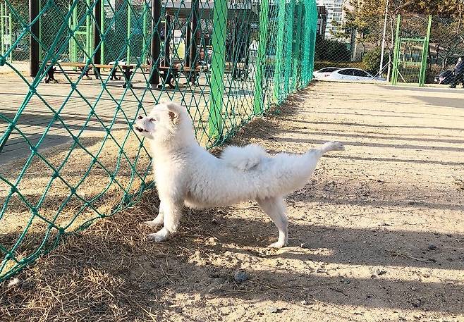 두부의 스트레칭 개인기(강슬기 제공) ⓒ 뉴스1