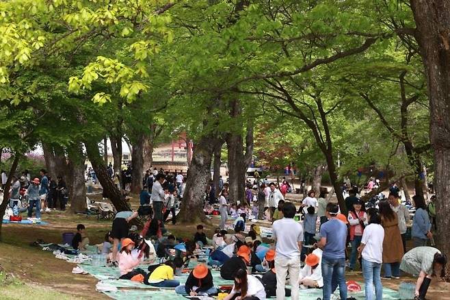‘왕과 사는 남자’의 흥행 이후 강원도 영월 지역 관광객이 급증하는 등 콘텐츠 하나가 줄줄이 문화 소비를 불러일으키는 긍정적 반응이 일어났다. 영월군의 대표 축제인 제57회 단종문화제가 2023년 4월26일부터 세계문화유산인 장릉과 영월군 동강 둔치, 관풍헌 등에서 열렸다. 영월군