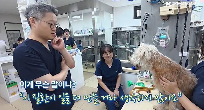 고려동물메디컬센터가 개원 38주년을 맞아 소속 수의사들의 이야기를 담은 기념 영상을 유튜브에 공개했다(고려동물메디컬센터 유튜브 갈무리). ⓒ 뉴스1