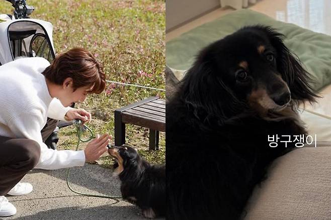 출처:정경호