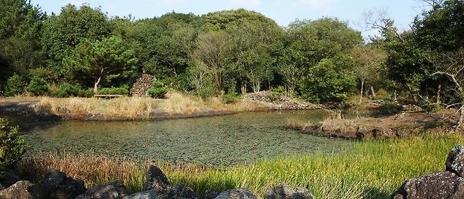 사진 = 제주도