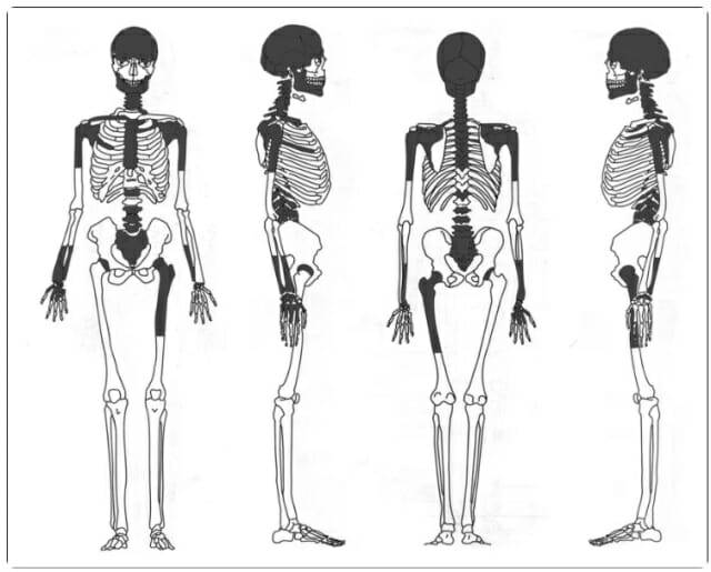 스코틀랜드 북부 철기 시대 매장 풍습을 연구하는 연구자들이 만든 해골 그림. (사진=Laura Castells Navarro 외 2026/Antiquity Publications Ltd.)