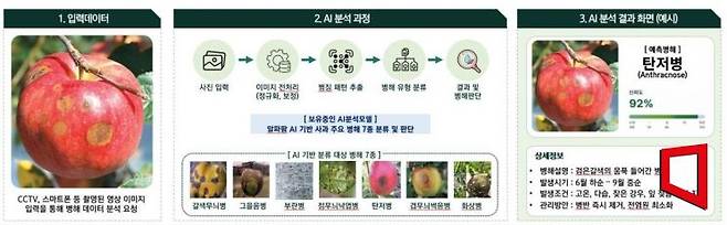 안동시 AI가 농사 짓는 시대 성큼 안동, 예측형 스마트농업 전환 가속[사진=안동시]