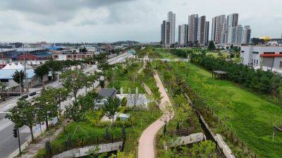 전북 익산시 송학동 기후대응도시숲 전경. [사진 제공=익산시]