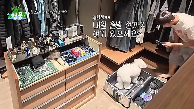 /사진=영상 캡처