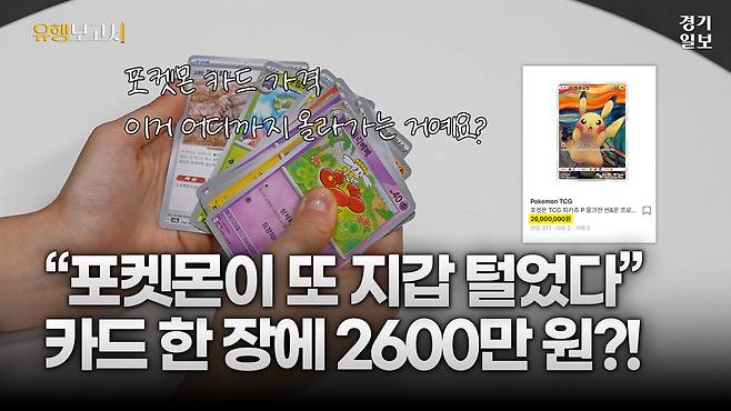 [썸네일] “카드 한 장에 2600만 원?”···다시 불붙은 포켓몬 카드 열풍. 김정현 PD