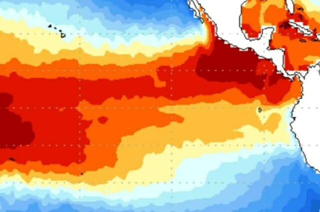 지난 3일 열대 태평양 해수면 온도 분포 지도 (출처=NOAA)