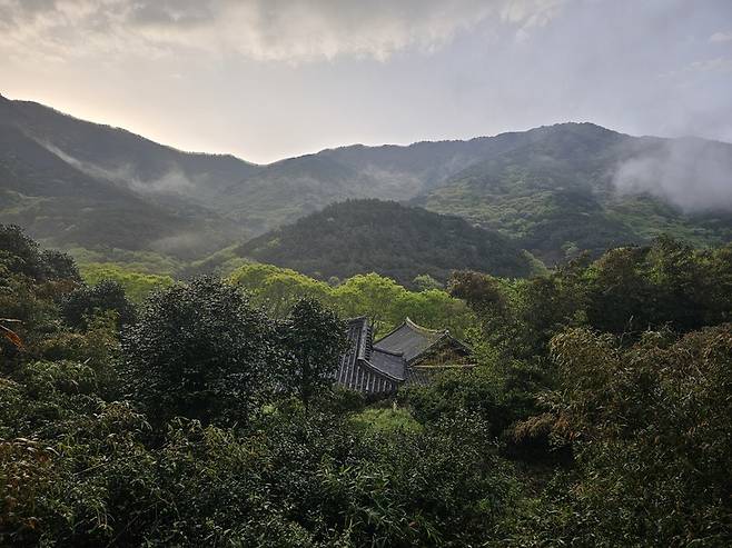 화엄사 구층암 천불전 뒤 야