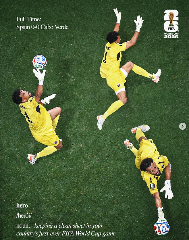 골키퍼 보지냐의 선방 장면. FIFA