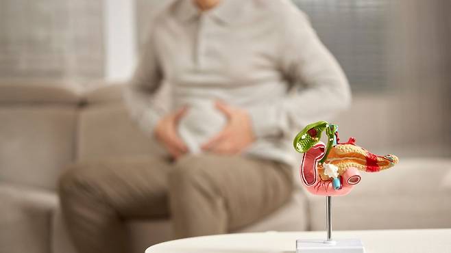 급성 췌장염 재발 시 만성화 위험이 약 70배 높아진다는 연구 결과가 발표됐다|출처: 클립아트코리아