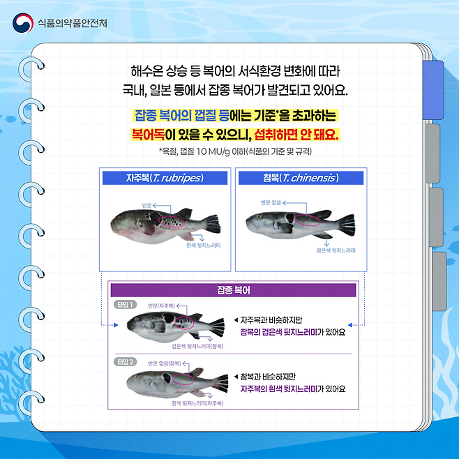 식품의약품안전처