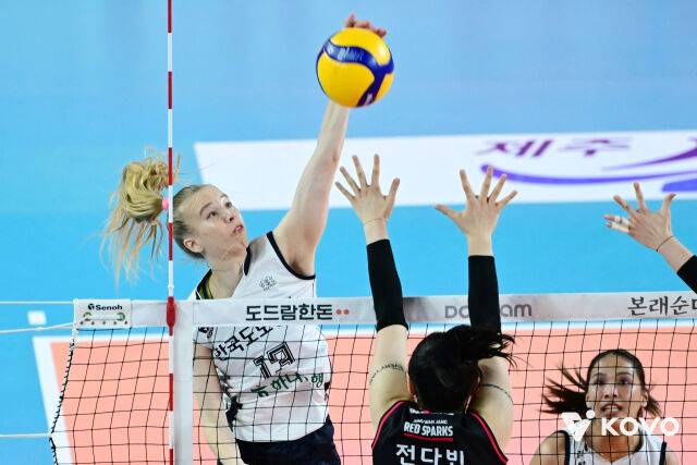 2024-25시즌 한국도로공사에서 뛴 니콜로바가 2025년 3월 19일 열린 정관장과 경기에서 스파이크를 시도하고있다./한국배구연맹(KOVO) 제공