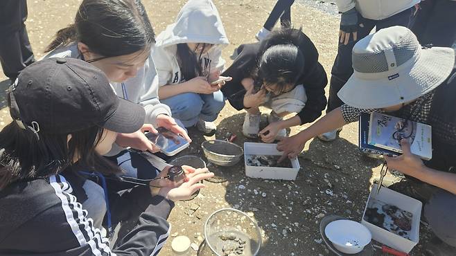 지난 5월 섬으로 가는 바다학교 2기 참여 학생들이 대이작도에서 갯벌 생물 등을 관찰하고 있다. 사진=인천시교육청
