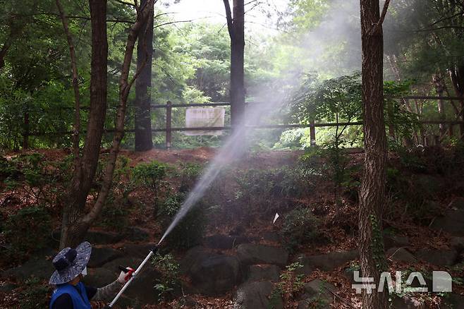 [서울=뉴시스] 고승민 기자 = 은평구보건소 관계자가 24일 서울 은평구 백련산 초입 실내배드민턴장 인근에서 약제가 아닌 물을 이용한 러브버그 방제 작업을 하고 있다. 2026.06.24. kkssmm99@newsis.com