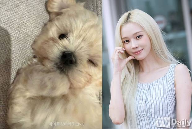 윈터