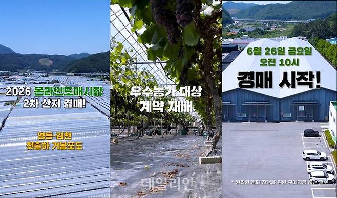 농수산물 온라인도매시장 경매 홍보 이미지. ⓒ한국농수산식품유통공사