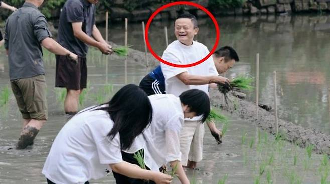 [서울=뉴시스] 마윈 알리바바 창업자가 22일 저장성 항저우의 한 농촌에서 알리바바 경영진 등과 모내기를 하고 있다.(출처: 성도일보) 2026.06.26. *재판매 및 DB 금지