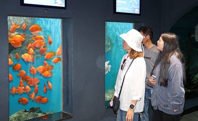 ▲ 괴산군 맞춤형 관광택시를 이용해 주요 관광명소를 둘러보는 관광객들. /괴산군 제공