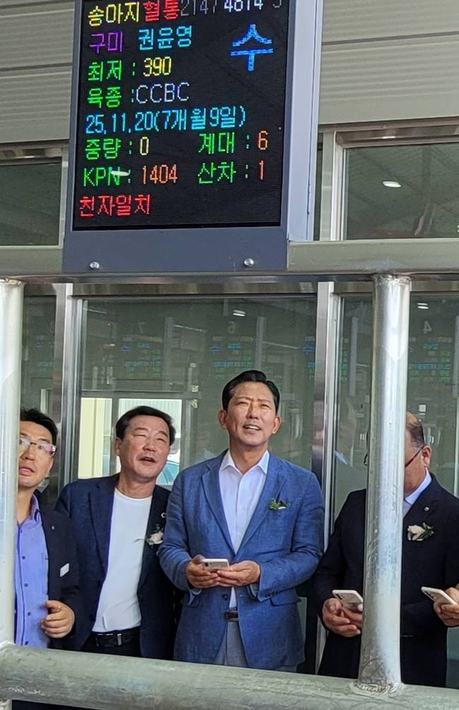 ▲ 김장호 구미시장이 구미칠곡축산농협 선산 스마트 한우경매시장에서 전자경매 시스템을 직접 체험하고 있다. 이봉한 기자