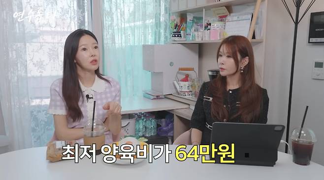 Ji Yeon-soo revealed on her YouTube channel, Ji Yeon-soos Yeon-soo-ropda, that she receives 850,000 won in child support each month from her ex-husband, Eli. She stated that the child support calculation standards do not reflect current living costs, making the amount insufficient, and candidly shared the financial difficulties and practical hardships she faces as a single mother.Ji Yeon-soo pointed out the reality that, even though child support is a childs right, many former spouses mistakenly view it as money they are giving out of their own free will. She also shared her own experiences, expressing empathy for the cold stares and difficulties single mothers face in society when they have to find part-time jobs while raising children.While she believes it is more realistic to work and support herself rather than rely solely on child support, she emphasized the hardships faced by single mothers who must balance childcare and work. Ji Yeon-soo married Eli, a former member of U-KISS, in 2014 and had a son, but the couple divorced in 2020.