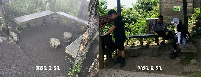 [인천=뉴시스] 최유리 인턴기자 = 인천 계양산 정상 부근 정자의 1년전후 모습. 오른쪽 사진은 지난 29일 오전 등산객들이 계양산 정상 부근의 정자에서 휴식을 취하고 있는 모습을 찍은 것이다. 왼쪽 사진은 1년 전 러브버그 떼로 뒤덮였던 같은 위치의 모습. (사진=SNS캡쳐)  2026.6.30 *재판매 및 DB 금지