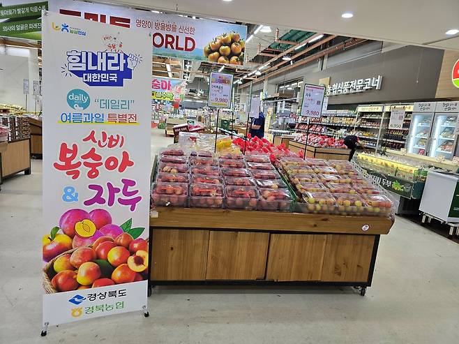 경북도가 하나로마트 수원점에서 ‘힘내라! 대한민국! daily 경북 여름과일 특별전’을 진행하고 있다./경북도 제공