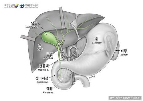 담도·담낭의 구조 [국립암센터 제공]