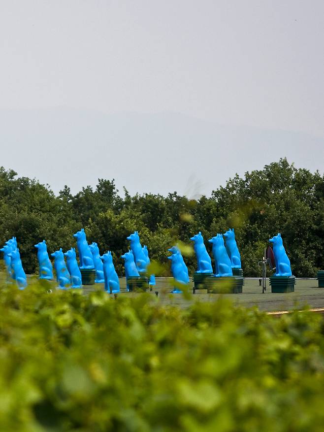 푸른 파수꾼(Blue Guardians).