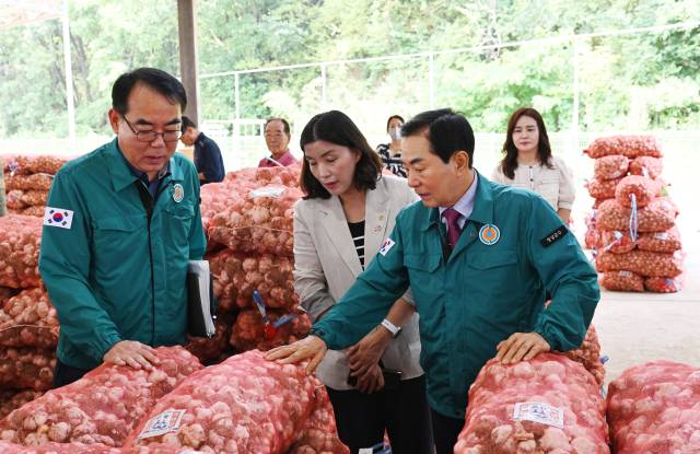 성낙인 창녕군수가 지난 3일 2026년산 햇마늘 경매장을 점검하고 있다. 창녕군 제공