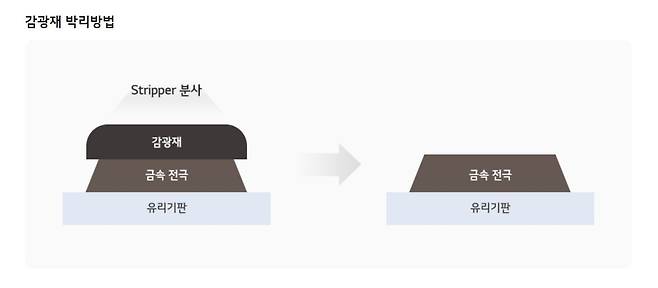 스트리퍼 공정 원리. LG화학 제공