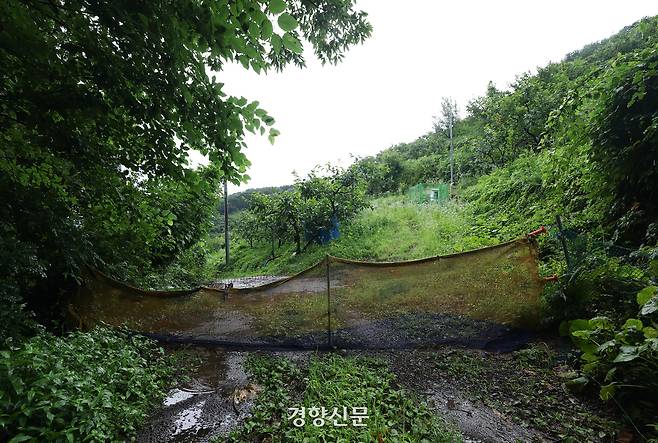 지난 1일 전남광주통합특별시 광양시 옥룡면의 한 매실밭 입구에 출입을 막는 그물망이 드리워져 있다. 이 길은 세금으로 포장했다. 광양|권도현 기자
