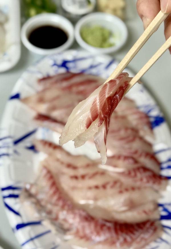 여름철 제주에서 맛볼 수 있는 생선 벤자리 생선회. 남해안 제주 부근 해역 등에서 서식하는 난류성 어종으로, 고소한 맛이 일품이라 물회로도 인기가 많다.