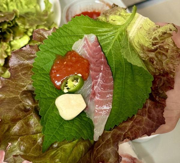 독가시치 생선회.