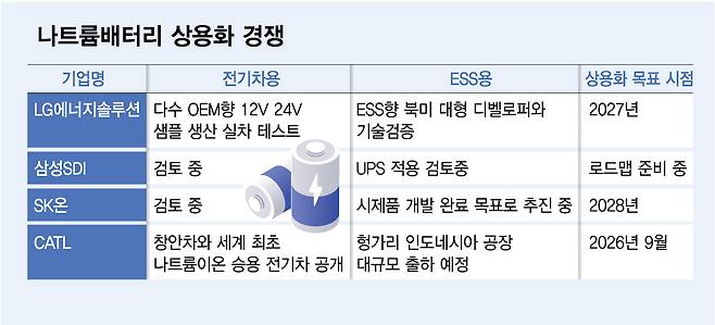소듐이온배터리 상용화 경쟁./그래픽=김다나