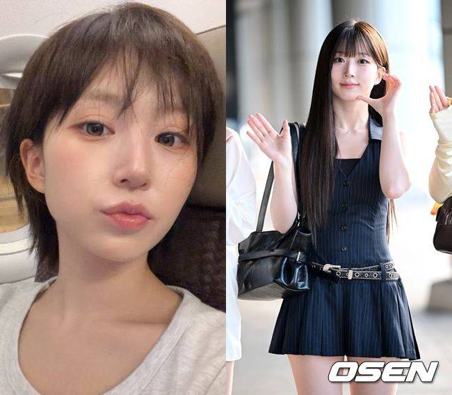 버블 캡처, OSEN DB