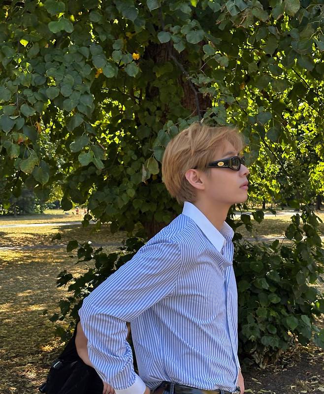 출처:뷔 SNS