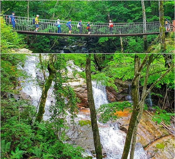 �ʷ����� ������ �ⷷ�ٸ�. ���� �Ա����� �ӵ� ������ �� 2km, ���� ��� ���� ������ �ÿ��� ���ٱ�. �ⷷ�ٸ��� ������ �� ���� ���ø��̴�.&nbsp;