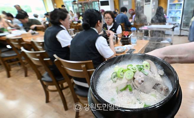 ▲ 초복을 하루 앞둔 14일 춘천의 한 삼계탕 음식점에서 시민들이 식사를 하고 있다. 김정호 기자