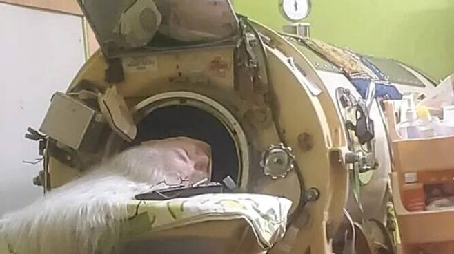 미국에서 철제 음압식 인공호흡기 '아이언 렁(iron lung)'에 의지해 살아온 소아마비 환자 마사 앤 릴라드가 항년 78세로 별세했다. 사진=고펀드미(GoFundMe)