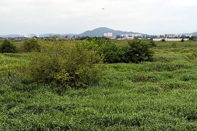 전남광주통합특별시 군 공항 인근 삼성전자와 SK하이닉스의 반도체 산단이 들어설 부지.ⓒ뉴시스